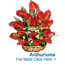 Send Flowers to Chennai