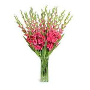 Deliver Christmas Flowers to Chennai