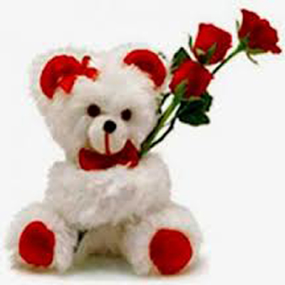 Deliver Soft Toys with Flowers to Chennai
